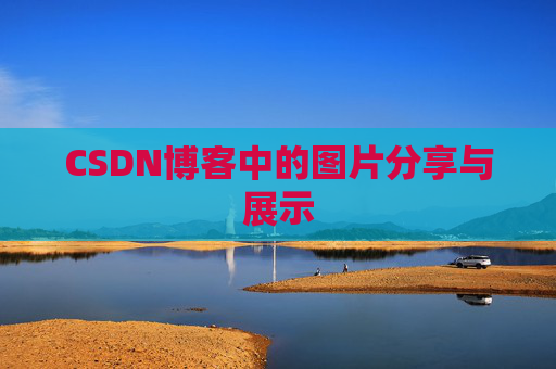 CSDN博客中的图片分享与展示
